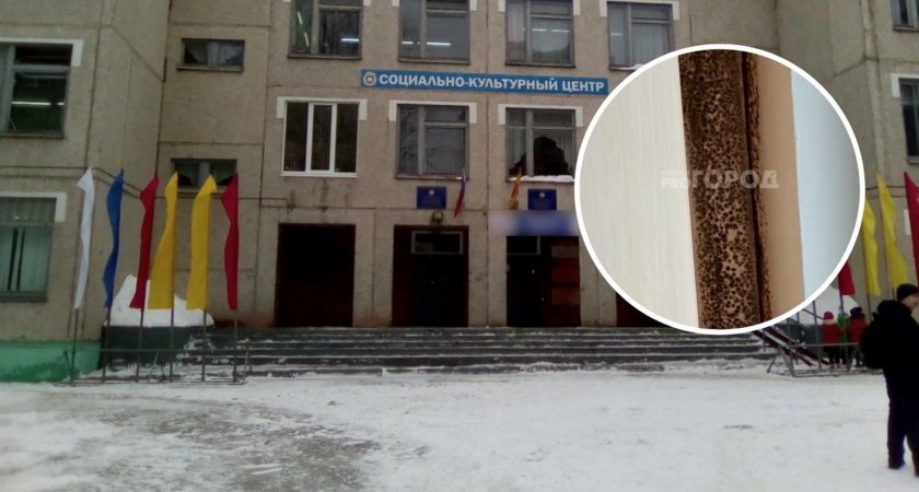 Заплесневевшую чебоксарскую школу проверят сотрудники прокуратуры