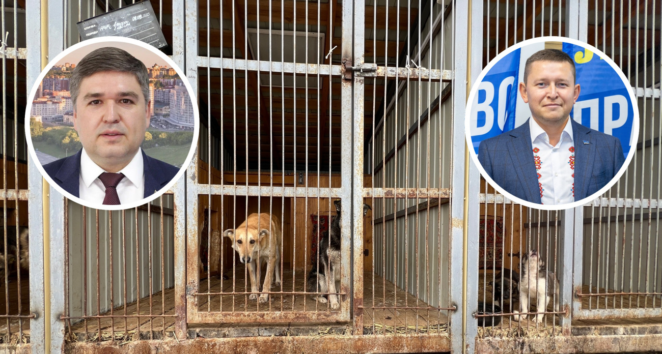 В Чувашии депутаты выступили против убийства бродячих собак: "В 21 веке убивать – это варварство"