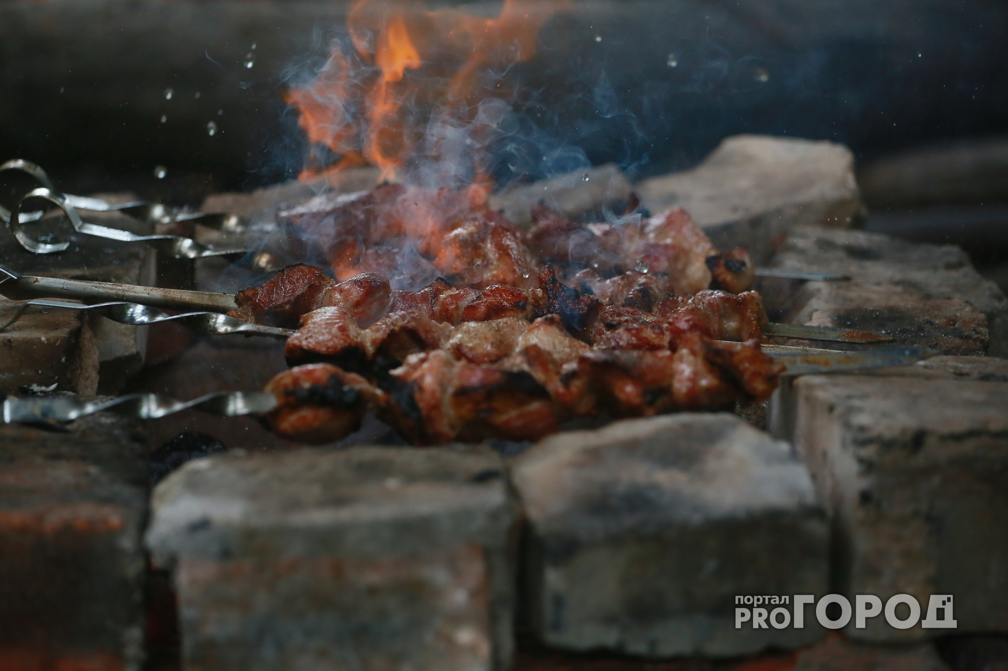 Чувашия стала регионом с самым дешевым шашлыком из свинины
