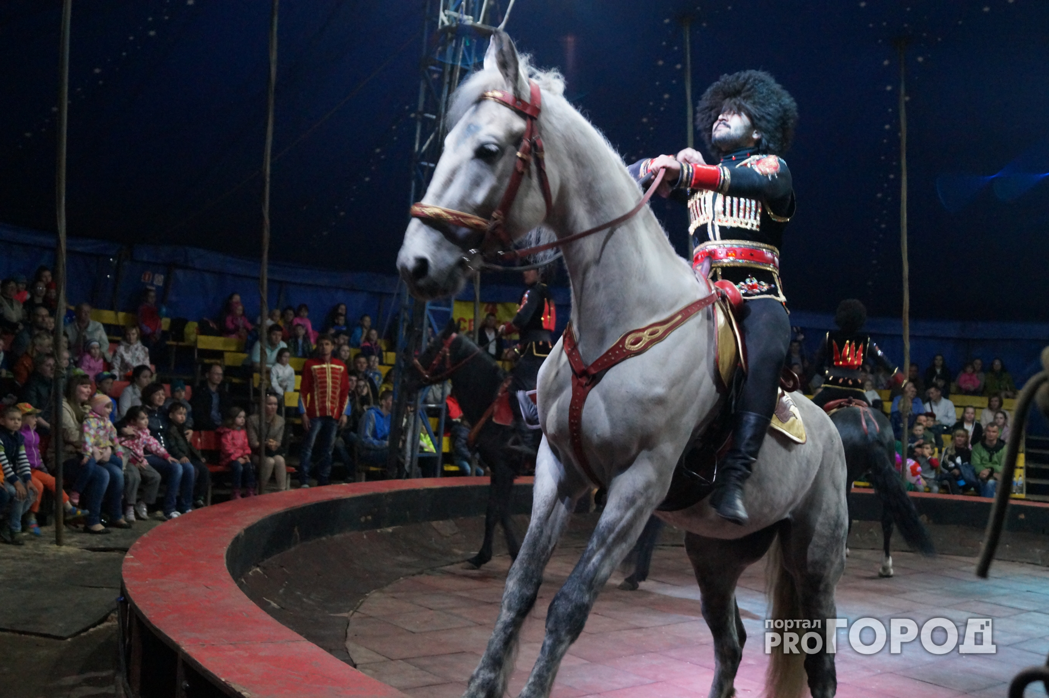В Чебоксарах выступит цирк «Raus» c шоу «Короли риска» с 12 по 28 мая