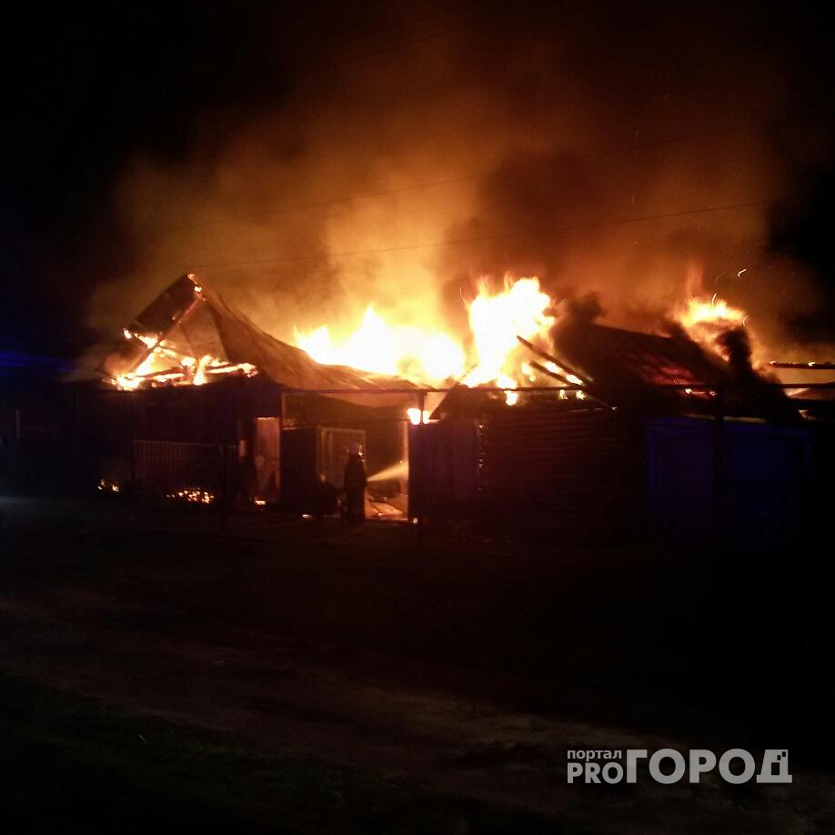 В Чебоксарском районе в огне погиб домашний скот