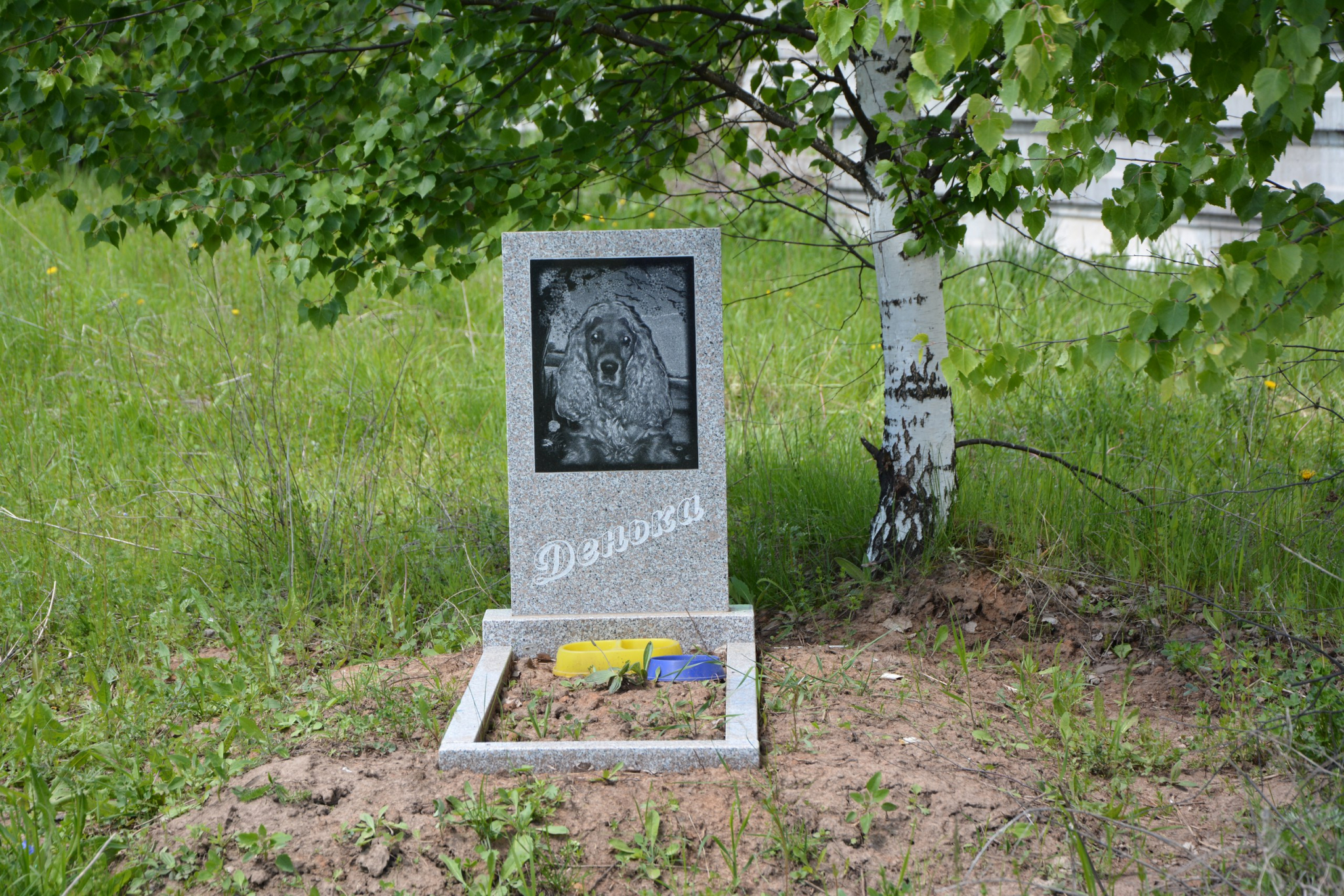 В Чебоксарском районе рядом с кладбищем поставили памятник собаке