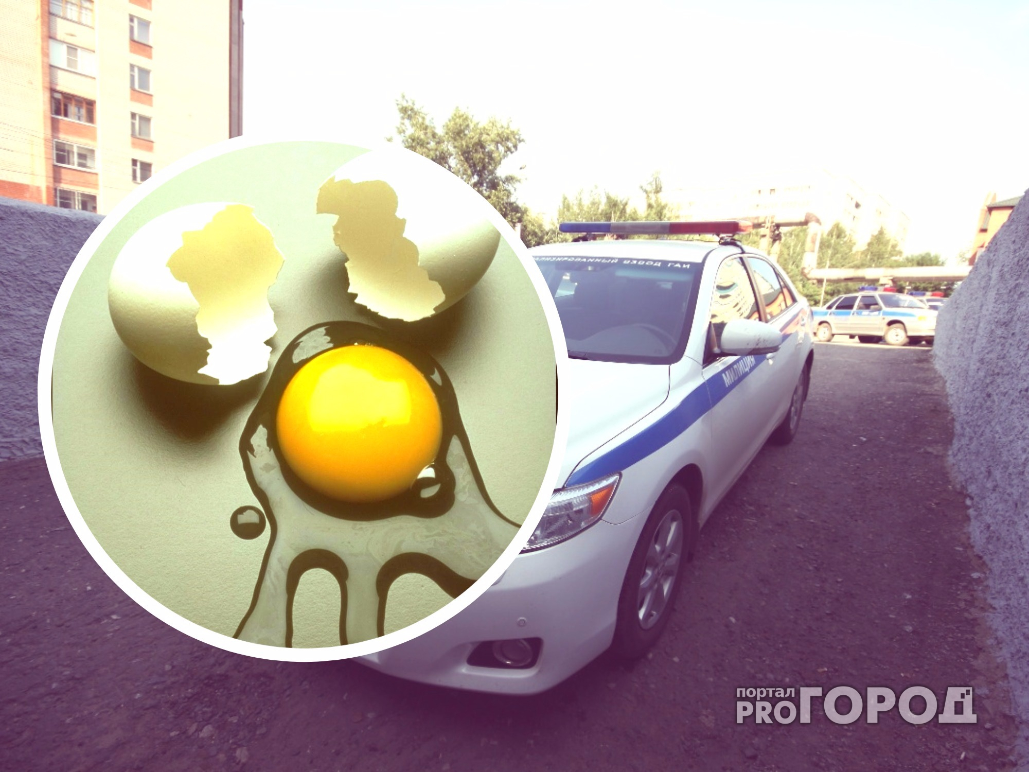 В Шумерлинском районе полицейских и их автомобиль закидали яйцами