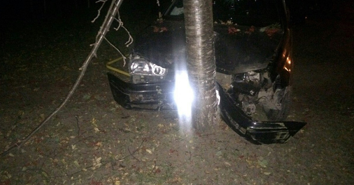 В Чебоксарах пьяного водителя «Фольксвагена» остановило дерево
