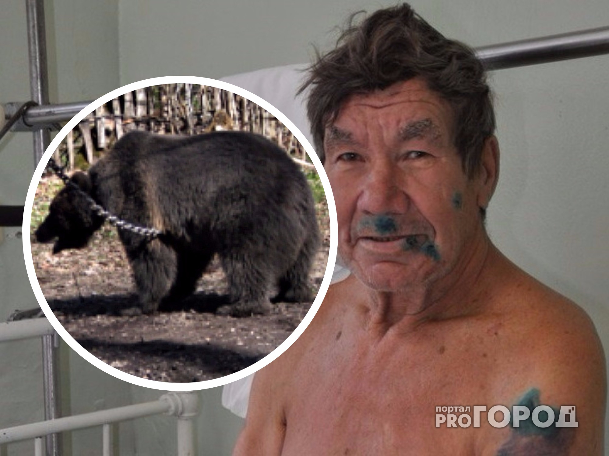В Вурнарском районе мужчина рассказал, как на него напала медведица