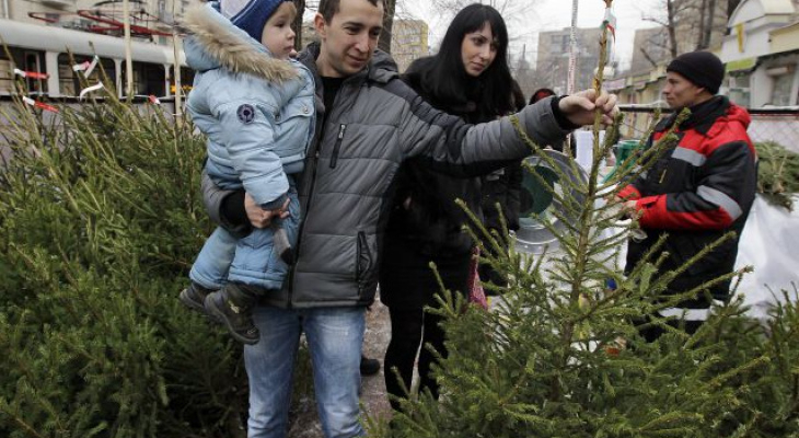В Чебоксарах новогодние елки меняют на билет в зооуголок