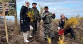 В честь павших на спецоперации уроженцев Чувашии посадили 4,5 тысячи деревьев 