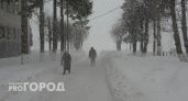 МЧС Чувашии предупреждает жителей о снежной буре