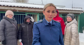 В чебоксарский приют для бездомных собак нагрянула прокурорская проверка