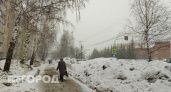 Плюсовая температура и небольшой снег: какая погода ждет жителей Чувашии 