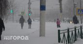 Снежные рекорды и морозы до -30: какую погоду прогнозируют синоптики в Чувашии 