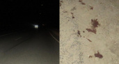 В Чувашии нашли водителя, устроившего "темное" ДТП: пешеход лежит в реанимации