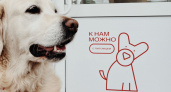 Магазины МТС в Чувашии открылись для домашних животных 