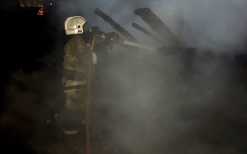 В полыхнувшем доме в Южном Поселке сгорели два человека