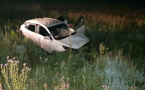 В Чувашии водитель и пассажирка на "Хендай" опрокинулись в кювет и погибли
