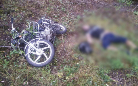 В Красноармейском районе разбился 22-летний водитель мопеда