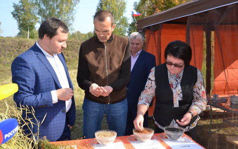 Игнатьев съездил в поля Алатырского района: «В этом году урожай хороший»