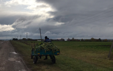 В России сократили рабочую неделю для сельских женщин