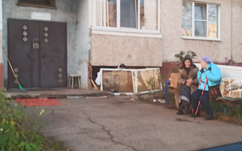 В Новочебоксарске жильцы построили дом для котят у себя под балконом