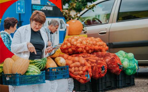 Чебоксарцам предлагают запастись овощами по низким ценам: морковь по 30, кабачки по 10 рублей