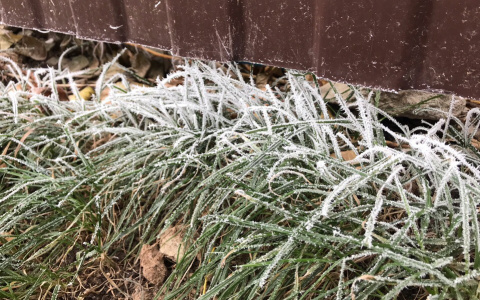В Чувашии прогнозируют заморозки на почве
