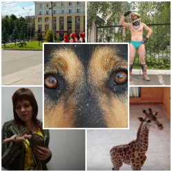 События России: жители Нижнего Новгорода познакомились с жирафом, а в Перми по городу ездит голый байкер