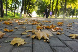 В первый понедельник сентября в Чебоксарах потеплеет