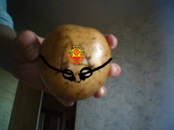 В Татарстане арестовали чувашский картофель