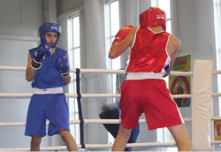 В Чебоксарах в День здоровья и спорта проведут бесплатный мастер-класс по боксу