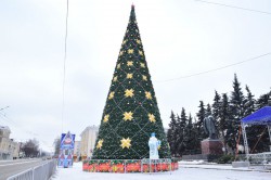На кремлевскую ёлку отправятся 46 детей из Чувашии