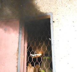В Чебоксарах произошело возгорание в магазине
