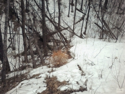Труп чебоксарца пролежал под снегом несколько месяцев