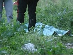 В Берендеевском лесу обнаружили труп неизвестного мужчины