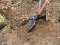 В Чувашии сутенер заставлял девушек копать себе могилу под дулом пистолета