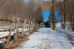 Новочебоксарский парк в этом году ждут небывалые изменения, даже появится зоопарк