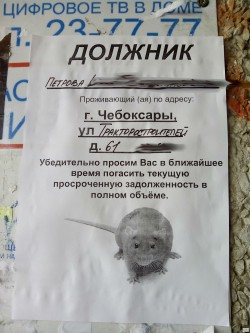 В Чебоксарах развешивают объявления о задолженности по ЖКХ с изображением крысы
