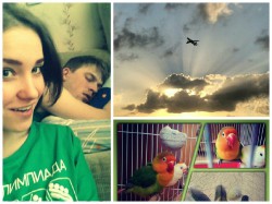Утром пятницы жители Чебоксар фотографировали самолеты, наслаждались рассветом и кормили попугаев