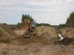 В Чебоксарах строители откопали останки мамонта