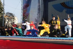 В День Победы в Чебоксарах прошли показательные выступления по боевым искусствам