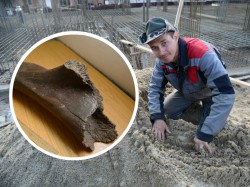 Геолог рассказал версию смерти мамонта, чью кость нашли на стройке в Чебоксарах