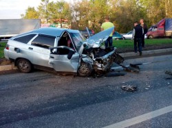 В Чувашии дворняшка стала причиной аварии сразу трех машин
