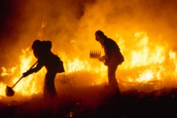 В Чувашии ввели особый противопожарный режим