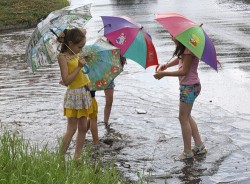 Понадобится ли чебоксарцам в среду зонт?