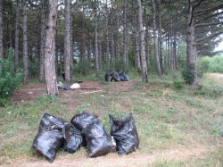 В Чебоксарском районе нашли мешки с расчлененным трупом