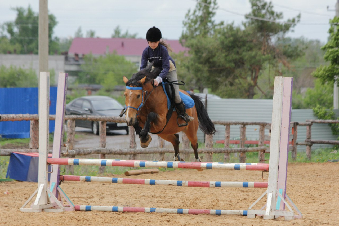 выездка конный спорт. кск дивный соревнования. кск южноуральск. кск альфа. конноспортивный комплекс дивный.