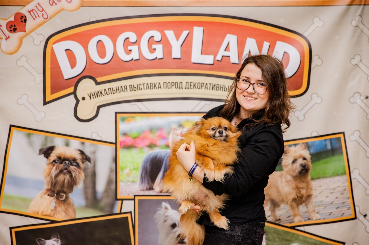 В Чебоксарах открылась выставка декоративных собак в необычном формате