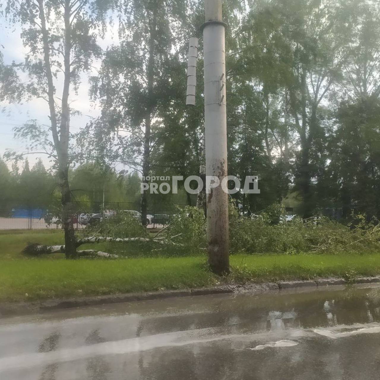 Ураганный ветер поломал деревья в Чебоксарах: последствия разбушевавшейся  стихии