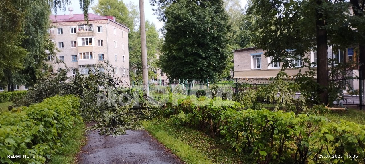 Фотографии Гарболово Церковь