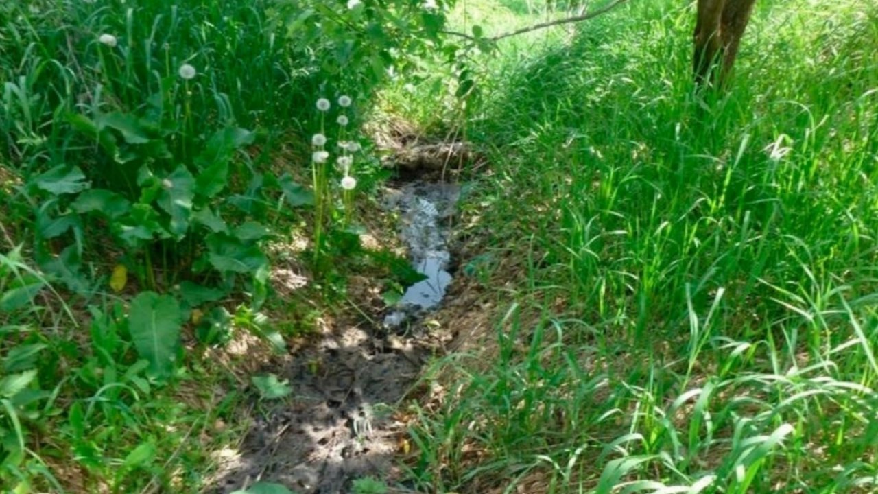 Житель Альгешево сливал в овраг канализационные воды и теперь должен  государству более 1 млн рублей