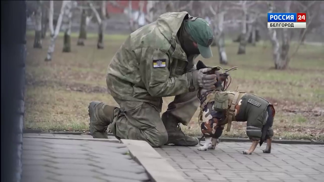 Друг другом спасаемся